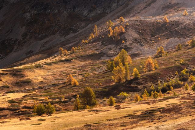 Col du Lautaret